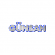 Günsan logosu